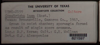 Image Associated With the Occurence